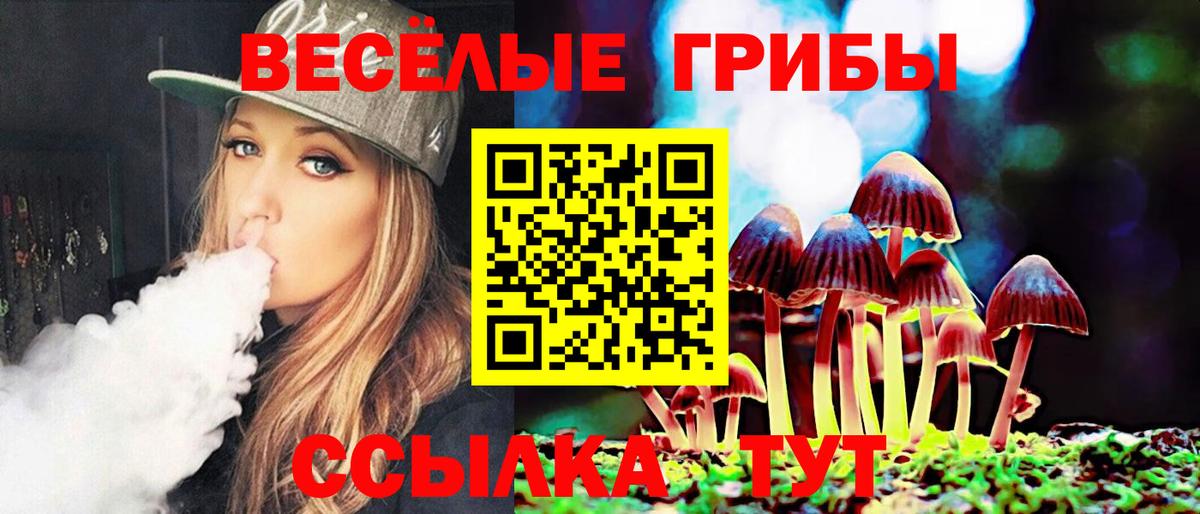 Кудрово  Галлюциногенные грибы Psilocybine cubensis  Вход с VPN 